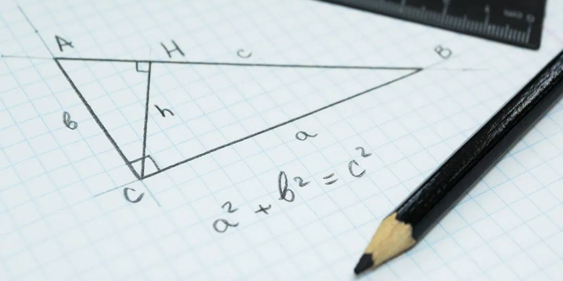 On iki yaşında kendine geometri öğrendi